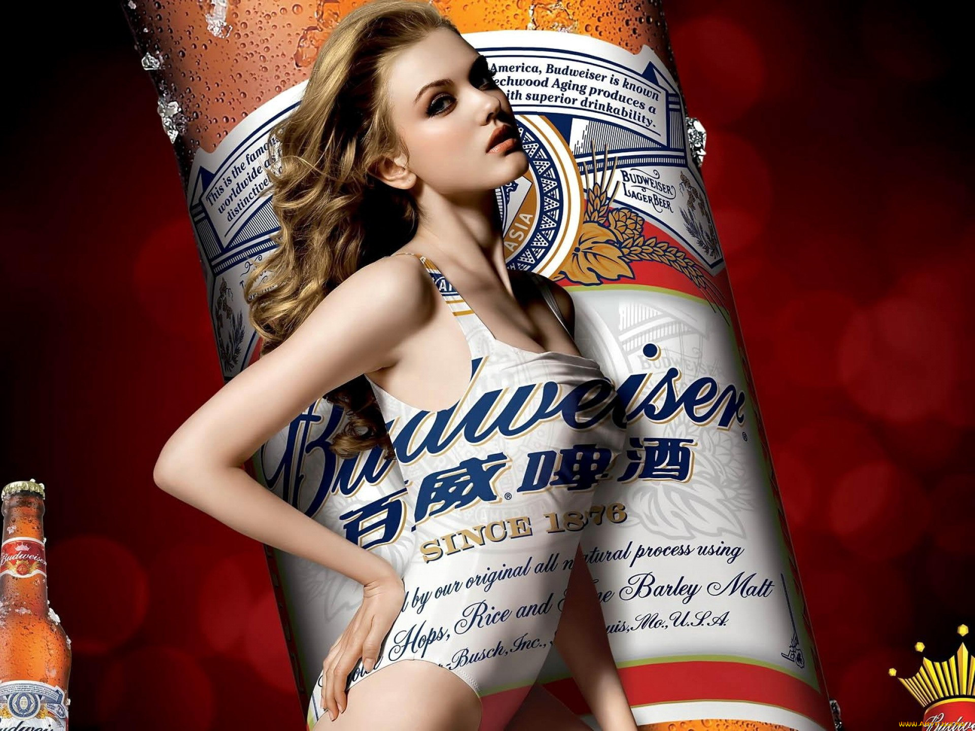 , budweiser, 